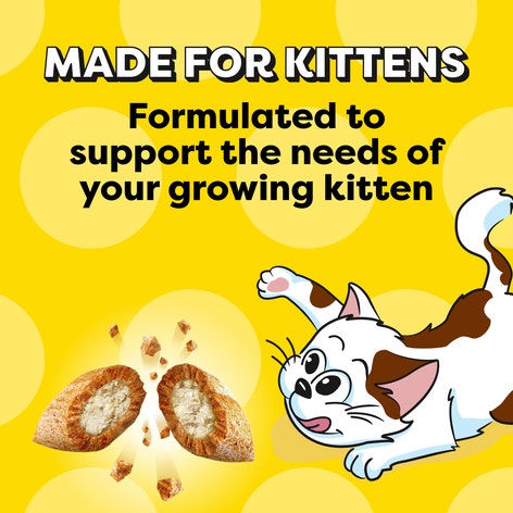 Made for kittens