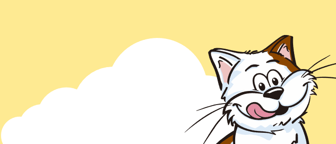 cat header